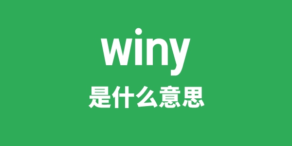 winy是甚么意义