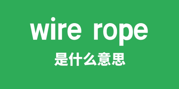 wire rope是甚么意义