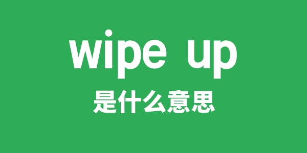 wipe up是甚么意义