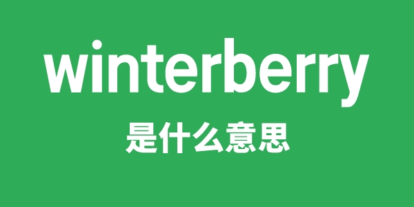 winterberry是甚么意义