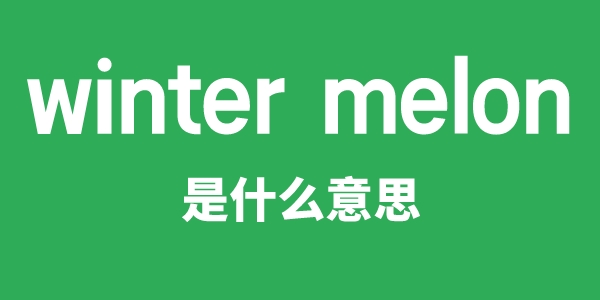 winter melon是甚么意义