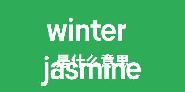 winter jasmine是甚么意义