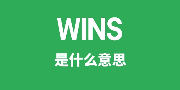 WINS是甚么意义