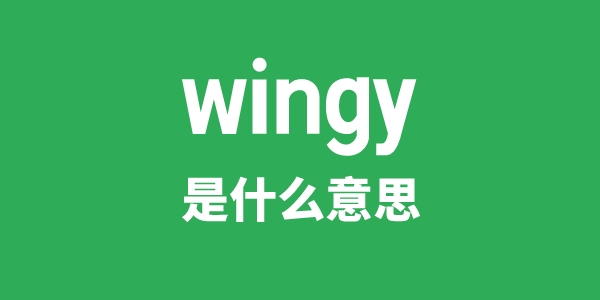 wingy是甚么意义