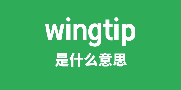 wingtip是甚么意义