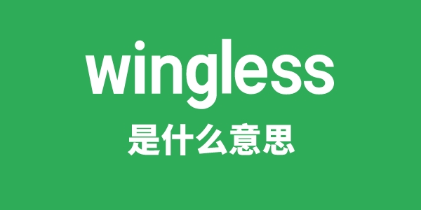 wingless是甚么意义