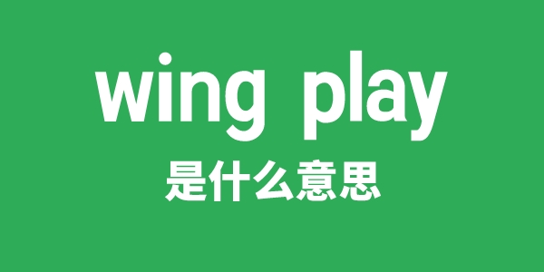 wing play是甚么意义