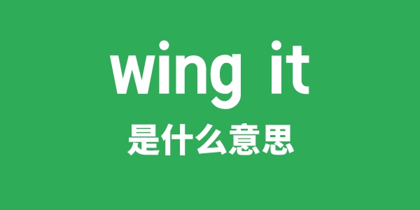 wing it是甚么意义