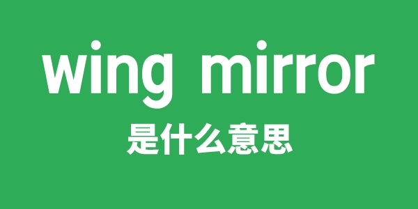 wing mirror是甚么意义