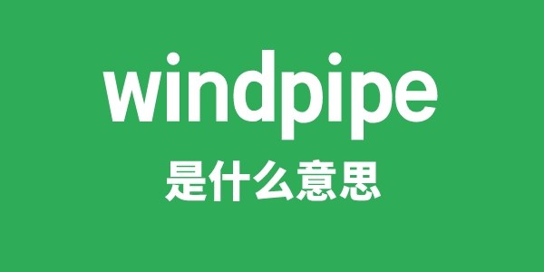 windpipe是甚么意义