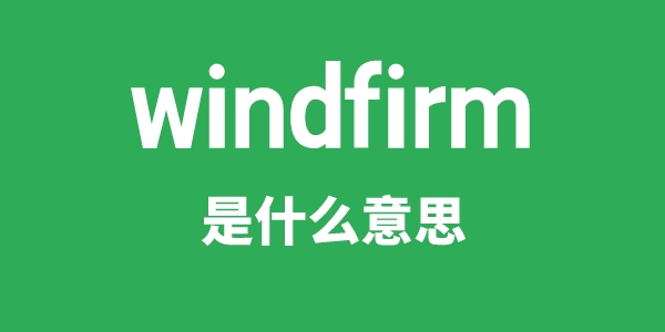 windfirm是甚么意义