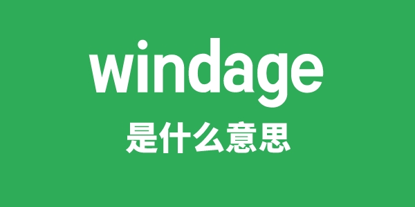 windage是甚么意义