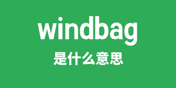 windbag是甚么意义