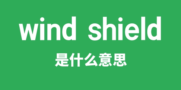 wind shield是甚么意义