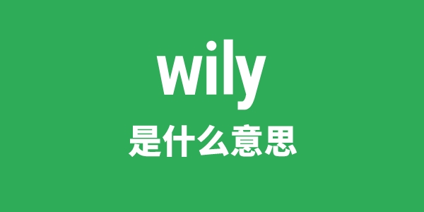 wily是甚么意义