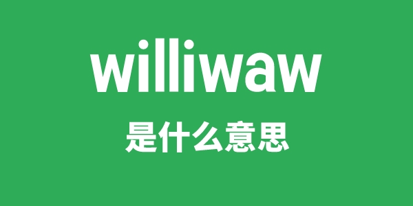willow是甚么意义