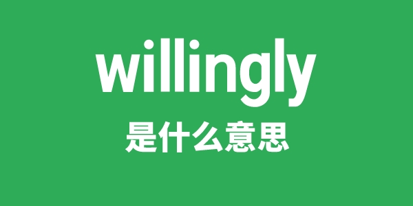 willingly是甚么意义