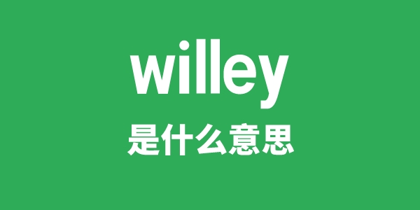 willey是甚么意义