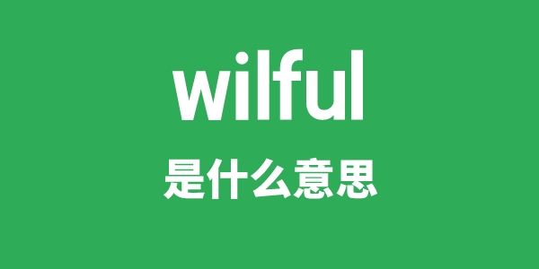 wilful是甚么意义