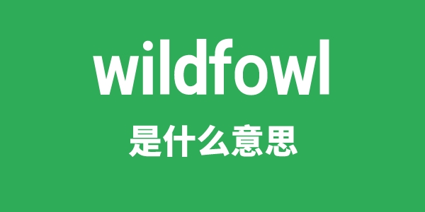 wildfowl是甚么意义