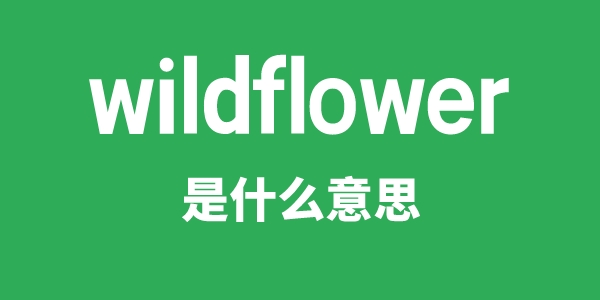 wildflower是甚么意义