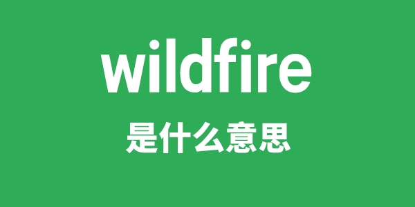 wildfire是甚么意义