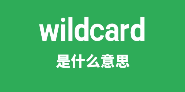 wildcard是甚么意义