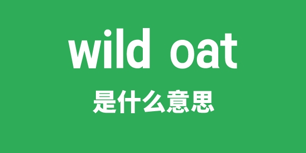 wild oat是甚么意义