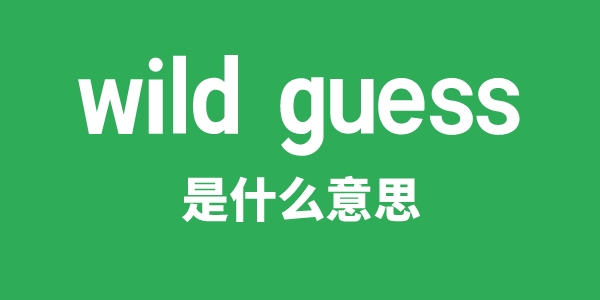 wild guess是甚么意义