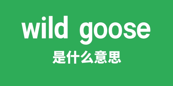 wild goose是甚么意义