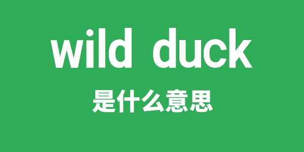 wild duck是甚么意义