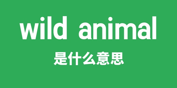 wild animal是甚么意义