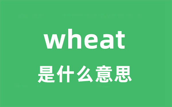 wheat是甚么意义
