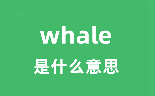 whale是甚么意义