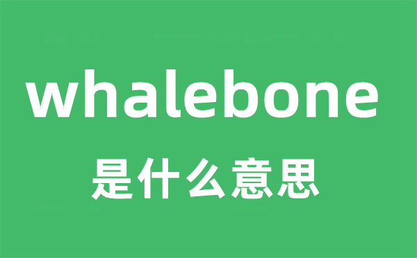 whalebone是甚么意义