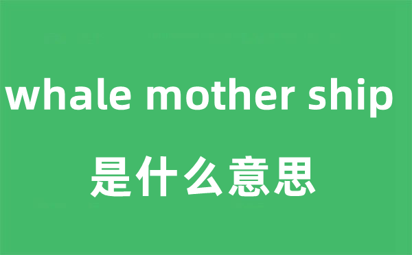 whale mother ship是甚么意义