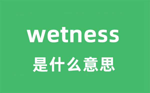 wetness是甚么意义