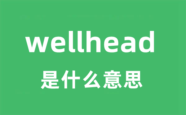 wellhead是甚么意义