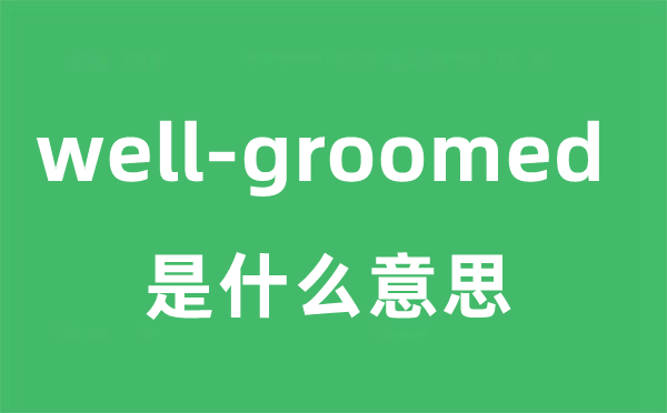 well-groomed是甚么意义