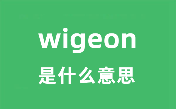 wigeon是甚么意义