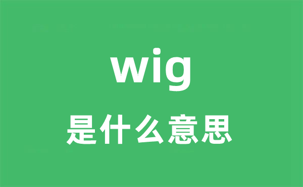 wig是甚么意义