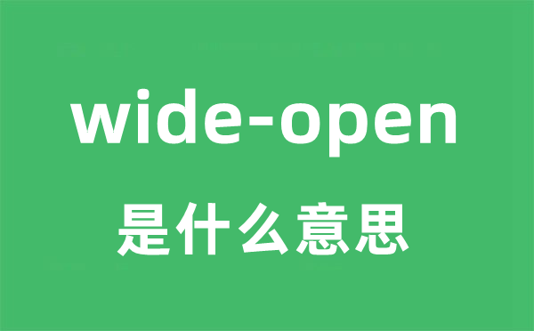 wide-open是甚么意义