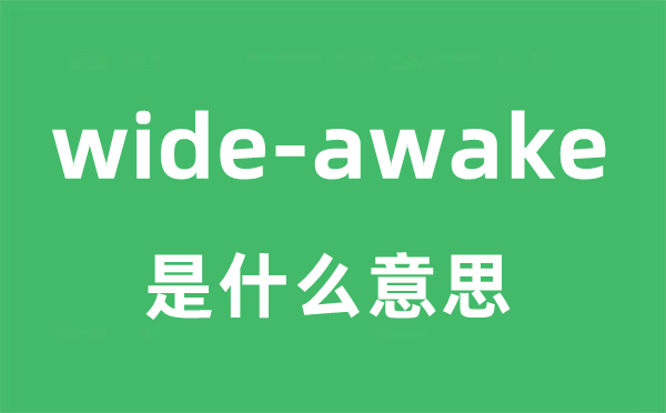 wide-awake是甚么意义