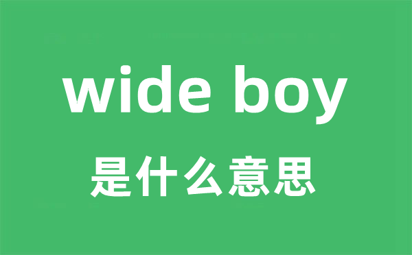 wide boy是甚么意义