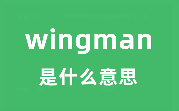 wingman是甚么意义