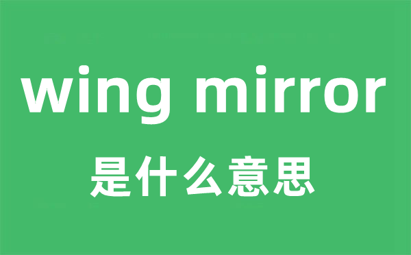 wing mirror是甚么意义