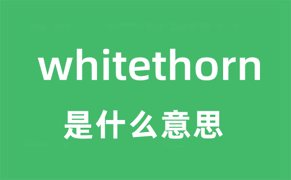 whitethorn是甚么意义