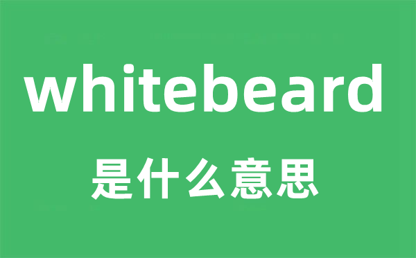 whitebeard是甚么意义