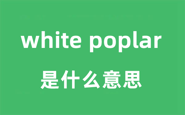 white poplar是甚么意义