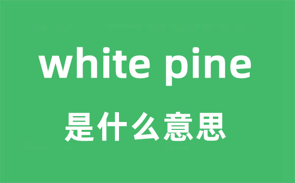 white pine是甚么意义
